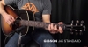 Gibson J-45 Standard: Cây Guitar Bán Chạy Nhất Của Hãng Đàn Huyền Thoại