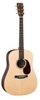 Đàn Guitar Acoustic Martin DX1RAE