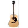Đàn Guitar Acoustic Cort AD880