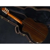 Đàn Guitar Classic Takamine DMP370NC