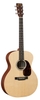 Đàn Guitar Acoustic Martin GPX1AE