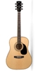 Đàn Guitar Acoustic Cort AD880