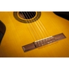 Đàn Guitar Takamine GC1CE - Classic