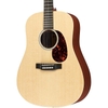 Đàn Guitar Acoustic Martin DX1AE