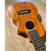 Đàn Ukulele Enya EUC X1C