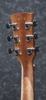 Đàn Guitar Acoustic Ibanez AW54CE OPN