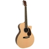 Đàn Guitar Acoustic Martin GPCPA4
