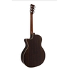 Đàn Guitar Acoustic Martin GPCPA4