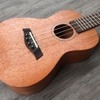 Đàn Ukulele Rosen Concert R-30U