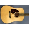 Đàn Guitar Acoustic Martin D16GT