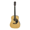 Đàn Guitar Acoustic Aria - Fiesta FST300
