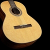 Đàn Guitar Classic Cort AC100 OP