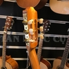 Đàn Guitar Classic Cordoba C1