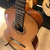 Đàn Guitar Classic Cordoba C5