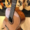 Đàn Guitar Classic Cordoba C5