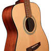 Đàn Guitar Acoustic Cort AF505