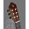Đàn Guitar Classic Alhambra 10 Premier