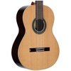 Đàn Guitar Classic Alhambra Cadete 1C