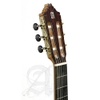 Đàn Guitar Classic Alhambra 9P