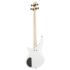 Đàn Guitar Bass Jackson Spectra Bass JS2