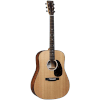 Đàn Guitar Acoustic Martin Road Series D10E
