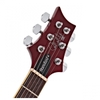 Đàn Guitar Điện PRS SE Standard 24 w/Bag