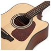 Đàn Guitar Takamine GD10CE Acoustic