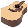 Đàn Guitar Takamine GD10 NS Acoustic