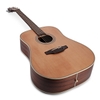 Đàn Guitar Takamine GD20 - Acoustic