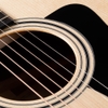 Đàn Guitar Taylor 317 Acoustic