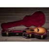 Đàn Guitar Taylor Builder's Edition 912CE WHB