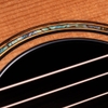 Đàn Guitar Taylor Builder's Edition 912CE WHB