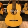 Đàn Guitar Classic Ba Đờn C550 Còng