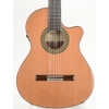 Đàn Guitar Classic Alhambra 5P CW E8