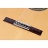 Guitar Classic Alhambra 7PA CW E8