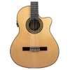 Guitar Classic Alhambra 7PA CW E8