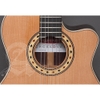 Đàn Guitar Classic Alhambra CS3 CW E8