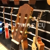 Đàn Guitar Cordoba C1MCET