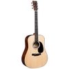 Đàn Guitar Acoustic Martin D12E