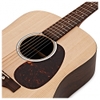 Đàn Guitar Acoustic Martin DX2E Rosewood