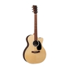 Đàn Guitar Acoustic Martin GPCX1AE 20th Anniversary