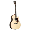 Đàn Guitar Acoustic Martin GPCX1RAE