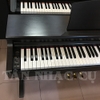 Đàn Piano Điện Kawai CN22