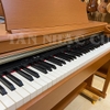 Đàn Piano Điện Kawai CN33