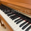 Đàn Piano Điện Kawai CN33