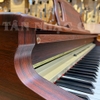 Đàn Piano Điện Korg C670