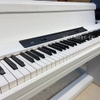 Đàn Piano Điện Korg LP350