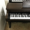 Đàn Piano Điện Roland HP3700