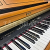 Đàn Piano Điện Roland HP7S DLC