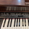 Đàn Piano Điện Roland KR575